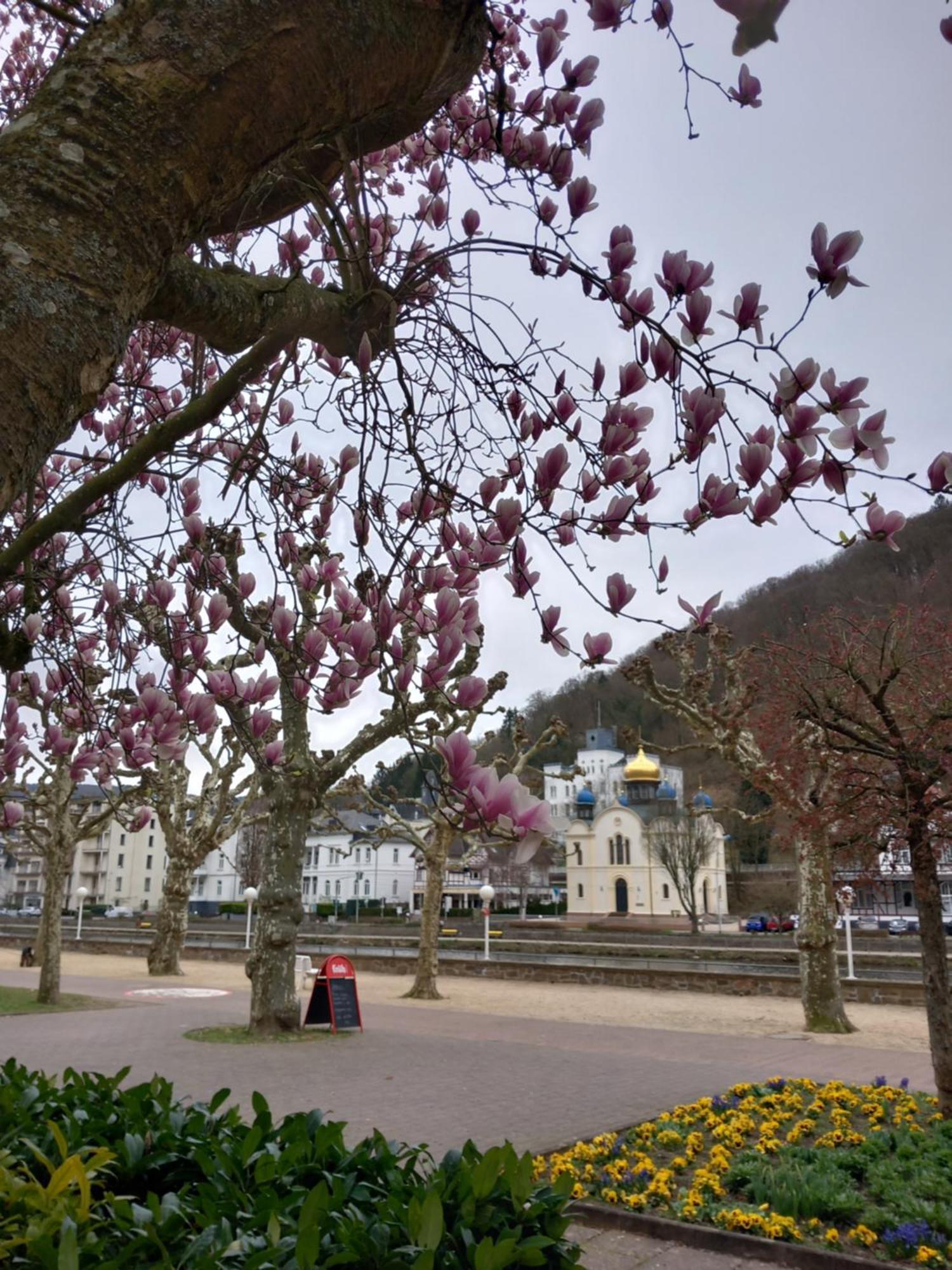 Ferienwohnung Im Roten Haus, Die Therme Ist Fusslaeufig In Wenigen Minuten Erreichbar Bad Ems Dış mekan fotoğraf